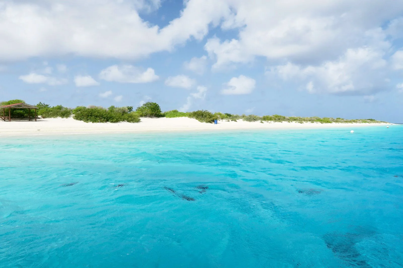 Bonaire, Sint Eustatius And Saba